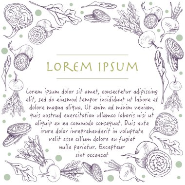 Anahat pancar kökü el gıda ile sebze daire çerçeve ile arka plan çizilmiş vektör şablonu
