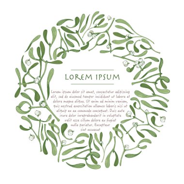 Ökseotu bitkiile vektör noel çelenk. Beyaz arka planlı doğa botanik çerçevesi