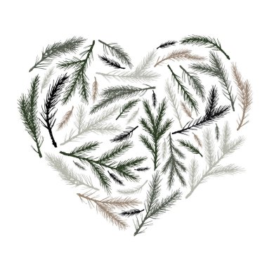 Çam bitki el çizilmiş tatil botanik arka plan ile Vektör noel kalp 