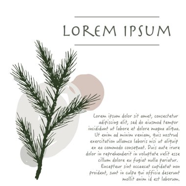 Tebrik kartı için fırça darbesi ile kozalaklı ağaç bitki pastel renk köşesi ile Noel arka plan