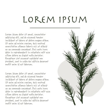 Tebrik kartı için fırça darbesi ile köknar ağacı bitki pastel renk köşesi ile Noel arka plan