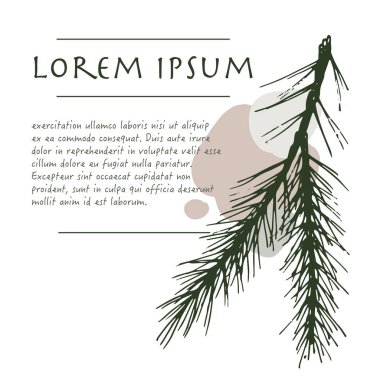 Tebrik kartı için fırça darbesi ile softwood bitki pastel renk köşesi ile Noel arka plan