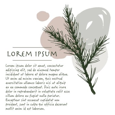 Tebrik kartı için fırça darbesi ile çam bitki pastel renk köşesi ile Noel arka plan