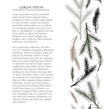 Çam ağacı ile Noel arka plan El çizilmiş dikey sosyal medya şablonu