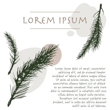 Tebrik kartı için fırça darbesi ile çam ağacı bitki pastel renk köşesi ile Noel arka plan