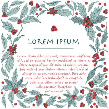 Holly bitki el çizilmiş daire botanik arka plan ile Vektör noel daire çerçeve 