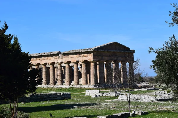 Architettura Antica Tempio Greco Ritrovato Negli Scavi Archeologici Paestum Sede — Foto de Stock