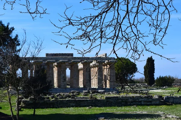 Architettura Antica Tempio Greco Ritrovato Negli Scavi Archeologici Paestum Sede — Foto de Stock