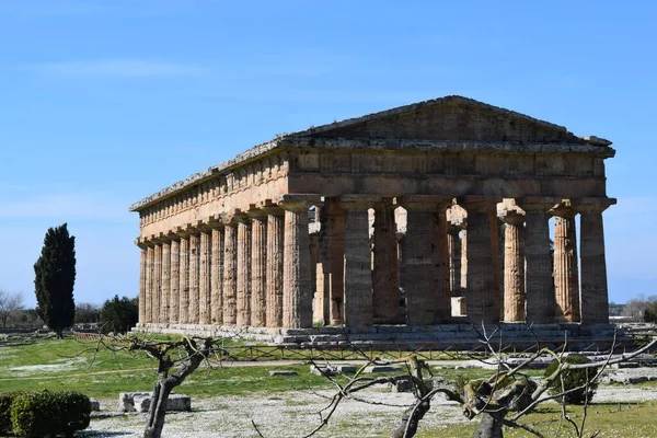 Architecettura Antica Tempio Greco Ritrovato Negli Scavi Archeologici Paestum Sede — Stock fotografie