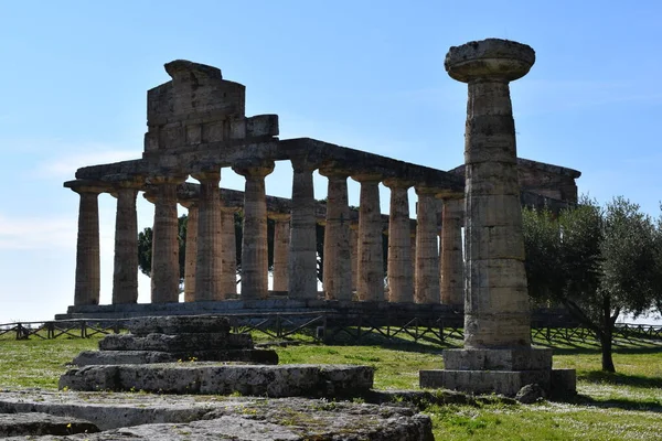 古代ギリシャの寺院は 一年中多くの観光客の故郷であるペストムの考古学的発掘調査で発見されました — ストック写真