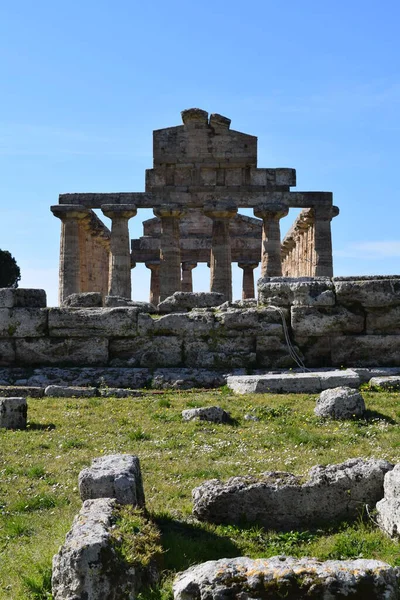 Paestum 'un arkeolojik kazılarında bulunan antik Yunan tapınağı, yıl boyunca turizme ev sahipliği yaptı.
