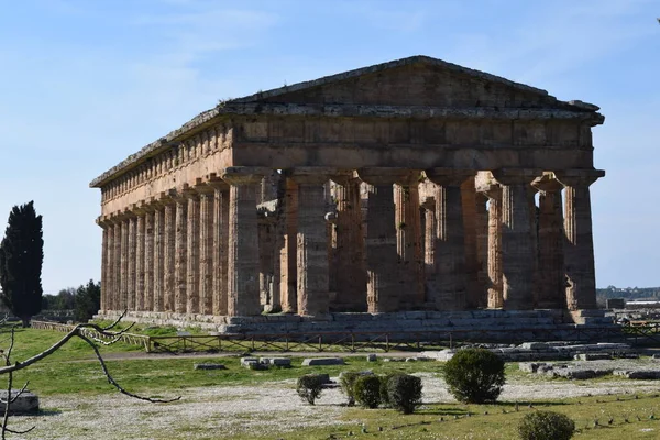 Aarchitettura Antica Tempio Greco Ritrovato Negli Scavi Archeologici Paestum Sede — 스톡 사진