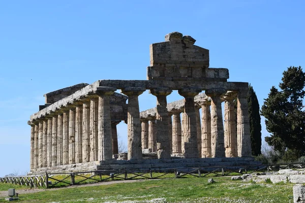 Aarchitettura Antica Tempio Greco Ritrovato Negli Scavi Archeologici Paestum Sede — Stock fotografie