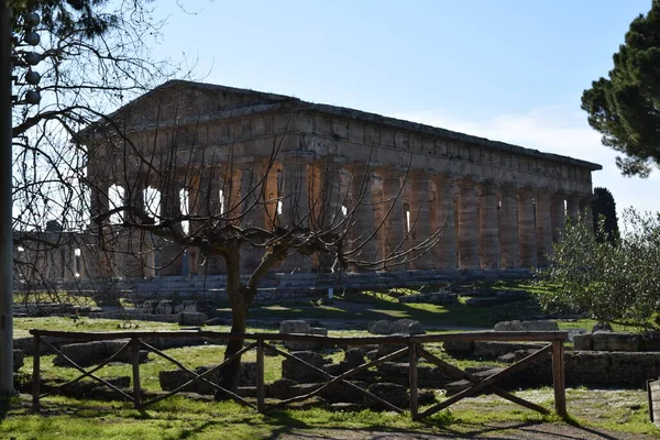 Aarchitettura Antica Tempio Greco Ritrovato Negli Scavi Archeologici Paestum Sede — 스톡 사진