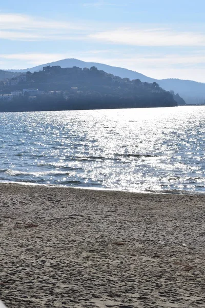 Su üzerinde kanat çırpan güneş yansımaları olan deniz manzarası