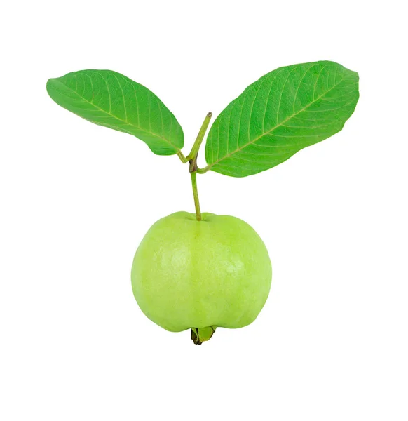 Fresh Green Ripe Guava Fruit Two Green Leaves Isolated White — Stock Photo, Image