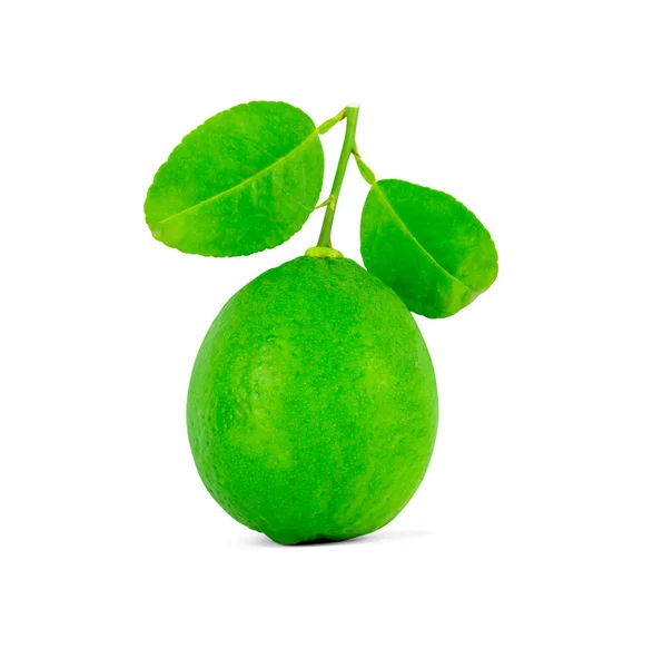Frische Grüne Rohe Zitronenfrüchte Isoliert Auf Weißem Hintergrund Limettenwürfel Geschnitten — Stockfoto