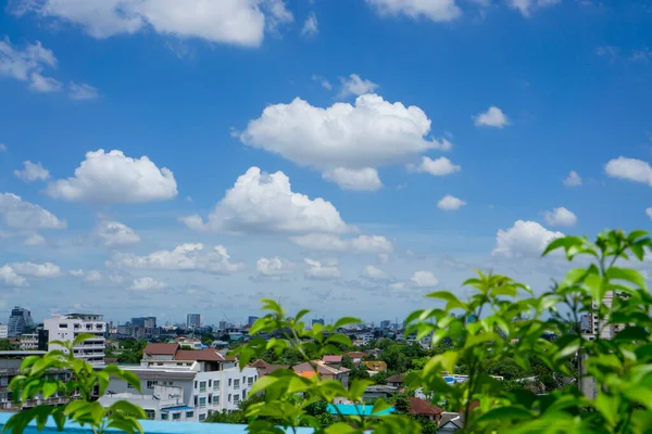 Beautiful white fluffy clouds on vivid blue sky in a suny day above a big city, part of Bangkok in Thailand, view from the rooftop, blurred green shrub on foreground of photo