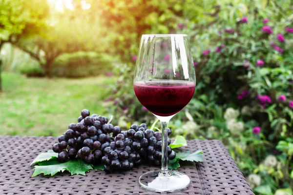 Ein Glas Dunkelvioletten Rotweins Und Trauben Frischer Tiefschwarzer Reifer Trauben — Stockfoto