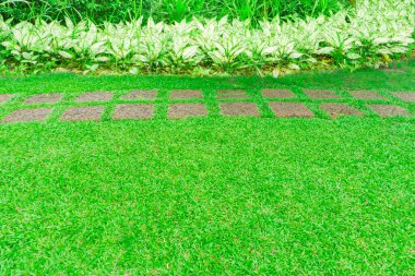 Yeşil çimlerin üzerindeki kare Laterite iğneli taş yolu, pürüzsüz halı çimleri ve bahçedeki çalılar.