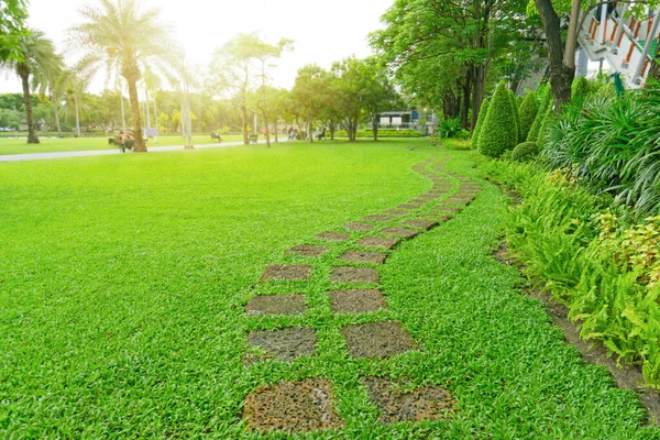 Curve paving pattern of Laterite steping stone on fresh green grass smooth lawn in the public park, garden of Ficus, Lady palm and shrub on right, trees in background under sunlight