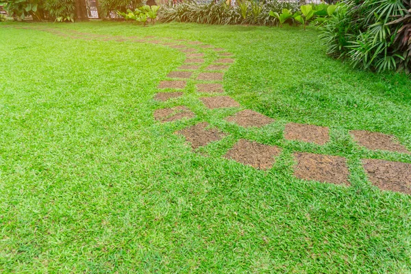 Pasarela Patrón Curva Piedra Cuadrada Laterite Steping Patio Césped Verde — Foto de Stock