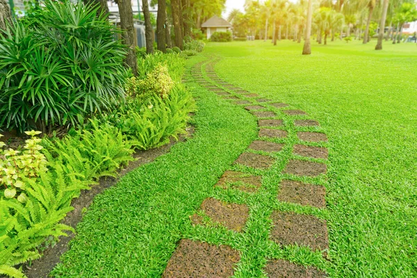 Kurva Mönster Laterite Steping Sten Fräsch Grön Gräs Slät Gräsmatta — Stockfoto