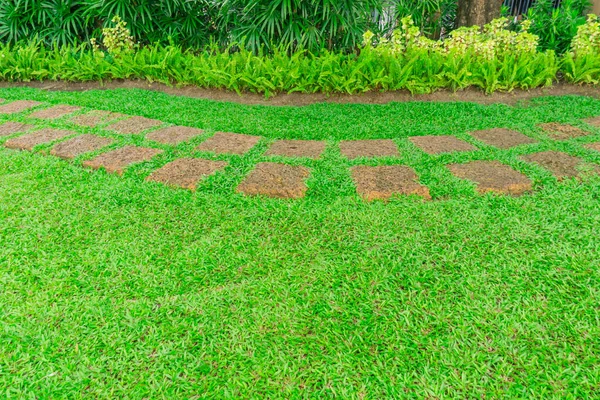 Gångbanemönstret Fyrkantiga Laterite Steping Sten Färskt Grönt Gräs Gård Slät — Stockfoto