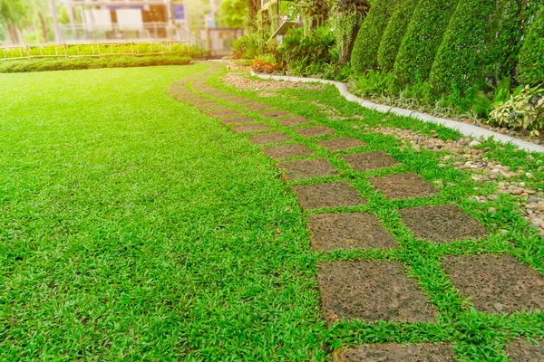 Kurvenmuster Gehweg Aus Quadratischem Laterit Stolperstein Auf Frischem Grünen Rasenplatz — Stockfoto