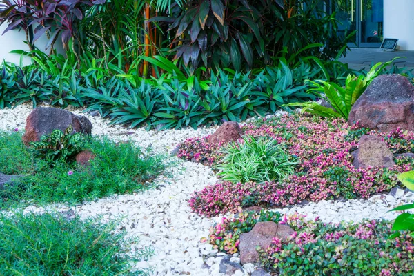 Hermoso Jardín Grava Pequeña Decorado Con Concha Blanca Piedra Marrón — Foto de Stock