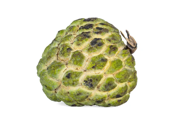 Sugar Apple Bomb Shape Fruit Rough Green Skin Isolated White — Stock Photo, Image