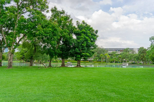 Pelouse Herbe Verte Arbres Verdure Étang Construction Sur Fond Sous — Photo