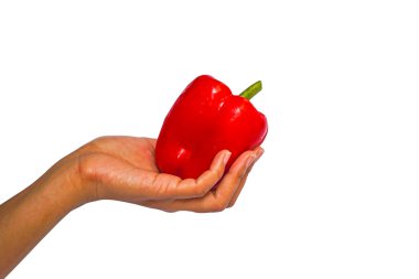 Taze kırmızı biber ya da dolmalık biber bir kadının bronz tenli elinde, izole edilmiş ve dikte edilmiş beyaz arka planda kırpma yolu olan, boşluk kopyala