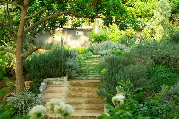 Yeşil çimen arka bahçesindeki İngiliz kır evi, güller, biberiye bitkisi, lavanta, saksı, çiçek bitkisi, yeşillik ağaçları ve büyüleyici yenilebilir bahçelerdeki heykel ve iyi bir bahçe düzenleme ile dekore edilmiş. 