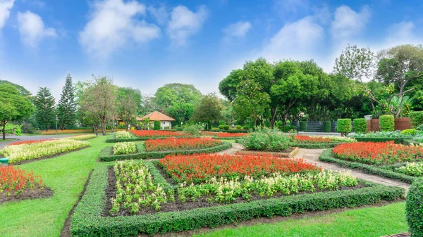 Pattern of English formal garden style, gardens with geometric shape of bush and shrub, decoration with colorful flowering plant blooming, green leaf of Philippine tea plant is border, greenery trees and gazabo on background under clouds blue sky, in
