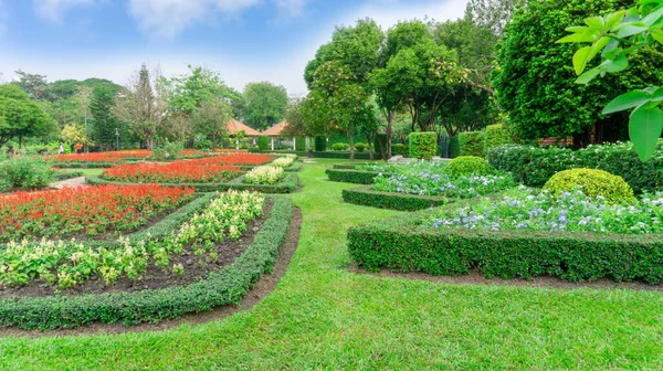 Vzor Anglického Formálního Zahradního Stylu Zahrady Geometrickým Tvarem Keře Keře — Stock fotografie