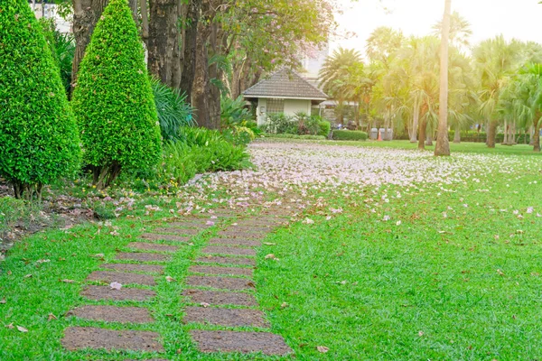 Árbol Trompeta Rosa Flor Rosea Tabebuia Caída Laterita Trampolín Pavimento — Foto de Stock