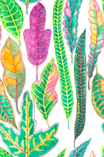 水彩画描绘了克罗顿植物五彩斑斓的叶子 斑叶隔离模切无缝图案 剪裁路径为白色背景 面料纺织品壁纸元素 — 图库照片