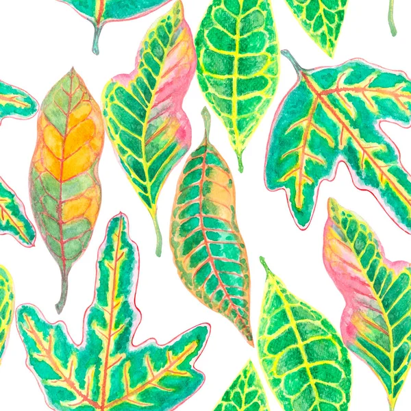 Aquarelverf Illustratie Kleurrijke Bladeren Van Croton Plant Naadloos Patroon Van — Stockfoto