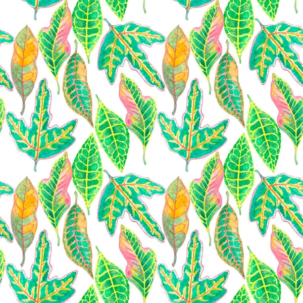 Иллюстрация Акварельной Живописи Красочные Листья Кротонского Растения Бесшовный Узор Разноцветных — стоковое фото