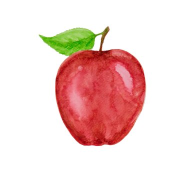 Kırmızı elma illüstrasyon suluboya çizimi kırpma yolu ile beyaz arkaplanda izole edildi