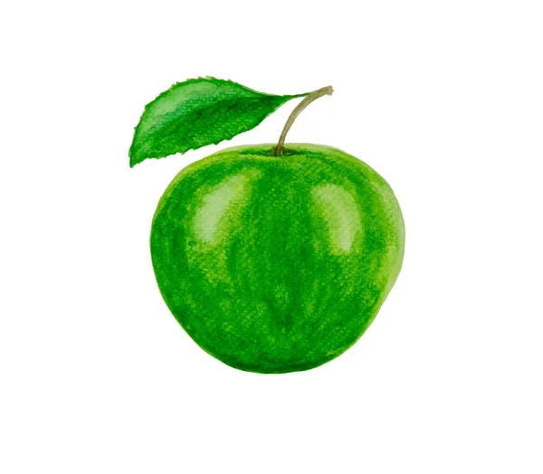 Groen Appel Fruit Illustratie Aquarel Tekening Geïsoleerd Witte Achtergrond Met — Stockfoto