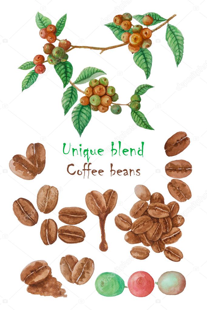 Red ripe coffee fruits branches, green leaf and brown coffee beans illustration pattern with texts 