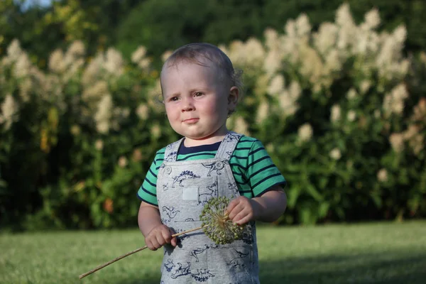 可爱的男孩在绿色的 T恤和花花公子站在草坪上与灌木丛 孩子拿着大野花 — 图库照片