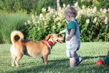 Yakışıklı bir gülümseyen çocuk açık yeşil çimenlerin üzerinde buhes arka plan ile oturuyor