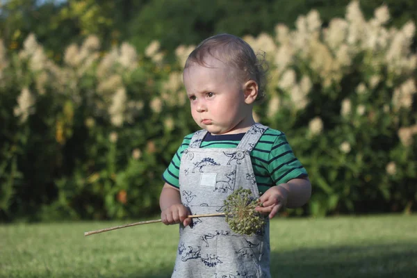 Śmieszne Poważne Chłopca Zielony Shirt Pajacyki Stoi Trawniku Krzewów Dziecko — Zdjęcie stockowe