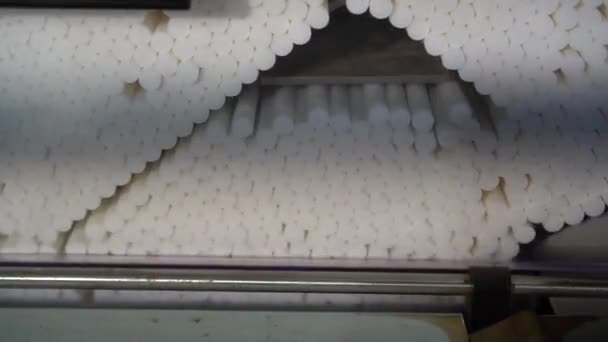 タバコ誘導工場におけるタバコ製造ライン — ストック動画