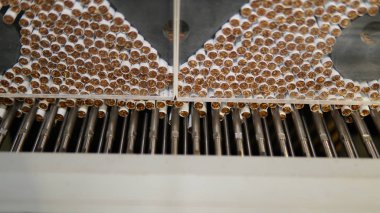 Bir tütün fabrikasında sigara üretim hattı