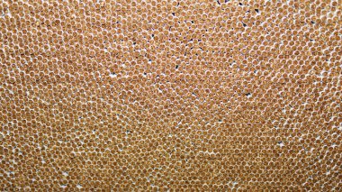 Arka planlar için sigara yığını Makro