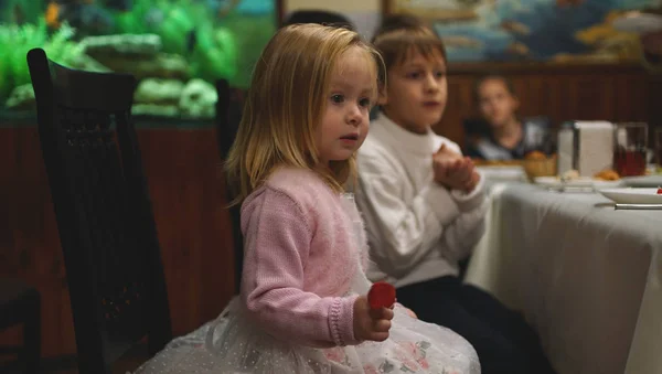 Мила серйозна маленька дівчинка сидить за столом зі своїм другом — стокове фото